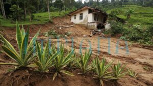 Cara Elak Gelongsoran Tanah di Kawasan Perumahan, Lindungi Rumah Anda Sebelum Terlambat!
