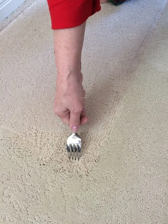 6 Cara Mudah Bersihkan Karpet Kotor Tanpa Perlu Hantar ke Dobi 13 6 Cara Mudah Bersihkan Karpet Kotor Tanpa Perlu Hantar ke Dobi