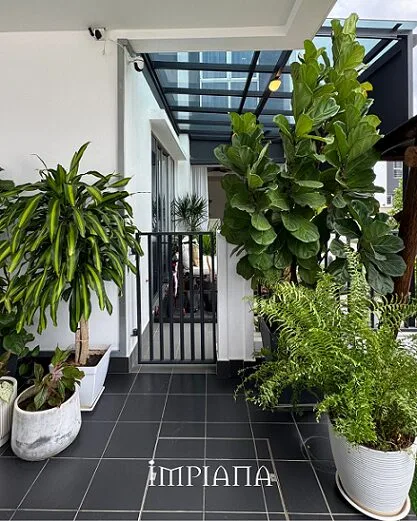 Terapi Laman Inspirasi ‘Contemporary Courtyard’, ‘Morning Energy’ Buat Pemilik!