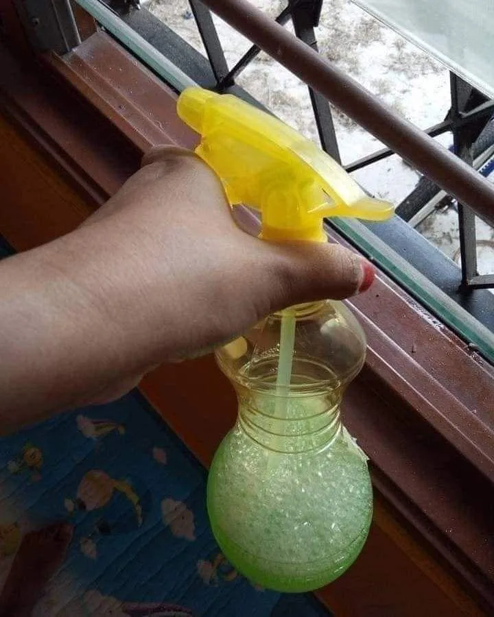 Petua Halau Cicak Guna Semburan Homemade, Mudah & Murah