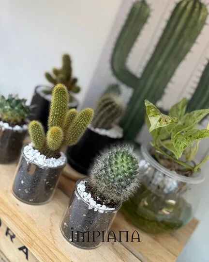 Dekor Landskap Idea Sendiri, LAMAN Konsep Modern Tropical, Mudah Jaga & Praktikal