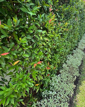 Dekor Landskap Idea Sendiri, LAMAN Konsep Modern Tropical, Mudah Jaga & Praktikal 31 Dekor Landskap Idea Sendiri, LAMAN Konsep Modern Tropical, Mudah Jaga & Praktikal