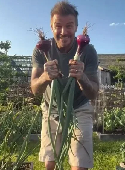 Aktif Berkebun & Berladang, David Beckham Bangga Aktiviti Buahkan Hasil