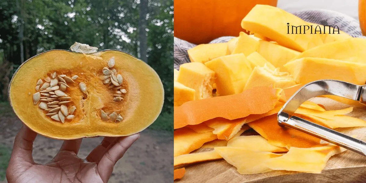 KULIT LABU Baja Organik Tinggi Nutrisi Untuk Tanaman, Daun Lebih Segar, Bunga Banyak, Buah Lebih Manis