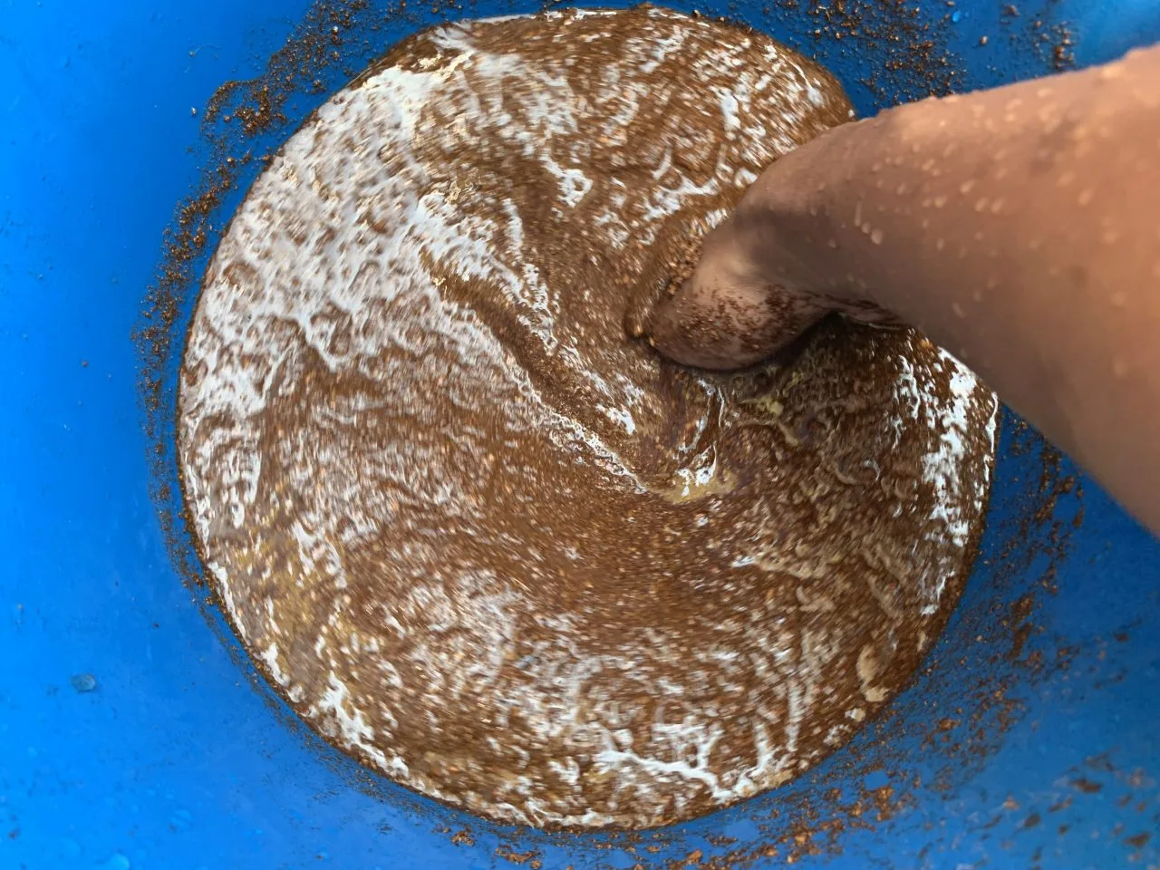 Ini Sebabnya Kena Basuh Cocopeat Sebelum Guna Sebagai Media Tanaman!