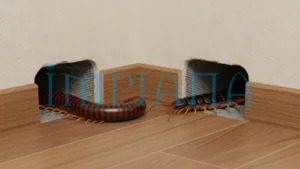 AWAS! Haiwan Berbisa Selepas Banjir, Ancaman Senyap Yang Ramai Terlepas Pandang