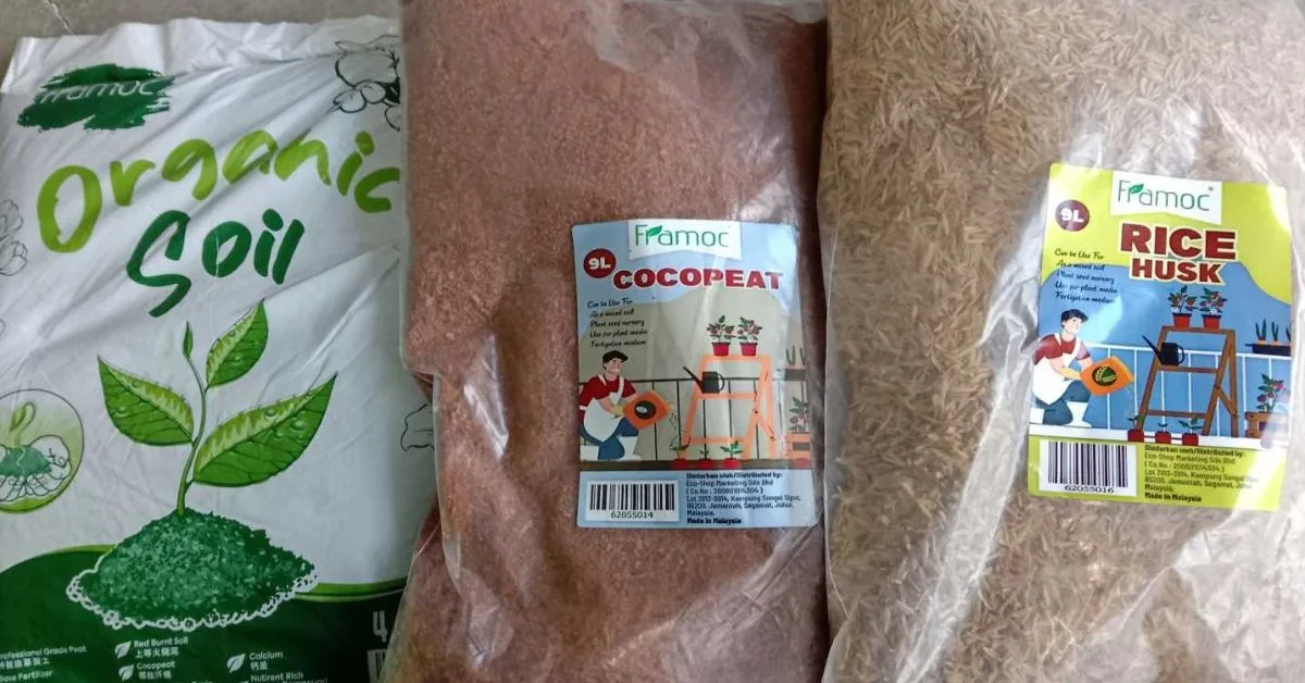 Media Tanaman Paling Senang & Menjadi: Guna 3 Bahan Dari Kedai Eco Sahaja