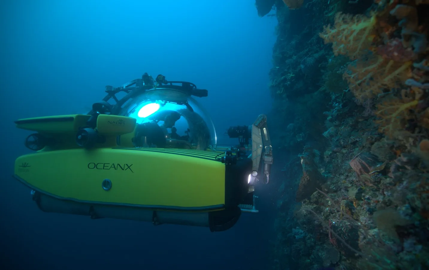 Terokai Rekaan Dunia Lautan Dalam Pameran ‘Into the Ocean: Journey Beneath’ Di Singapura 6 Terokai Rekaan Dunia Lautan Dalam Pameran ‘Into the Ocean: Journey Beneath’ Di Singapura