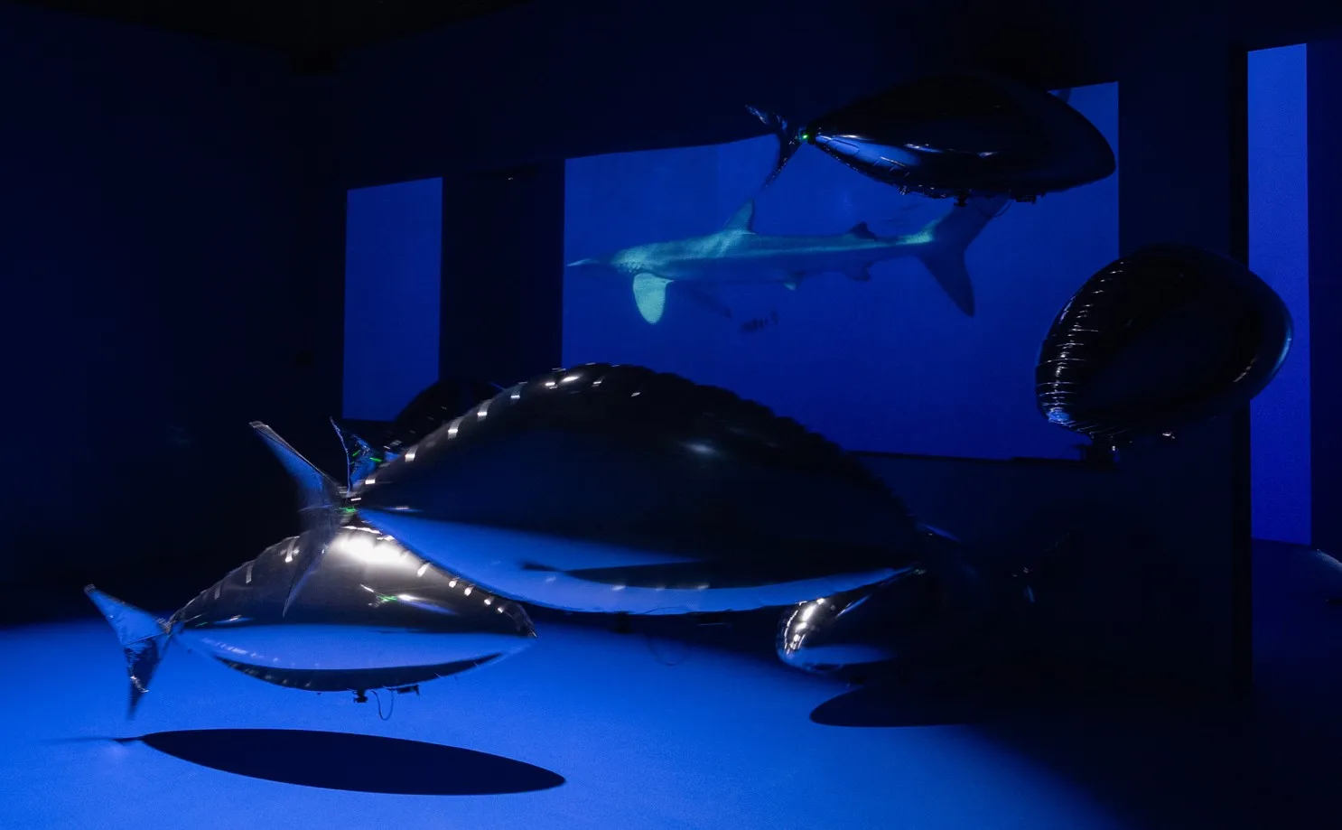 Terokai Rekaan Dunia Lautan Dalam Pameran ‘Into the Ocean: Journey Beneath’ Di Singapura