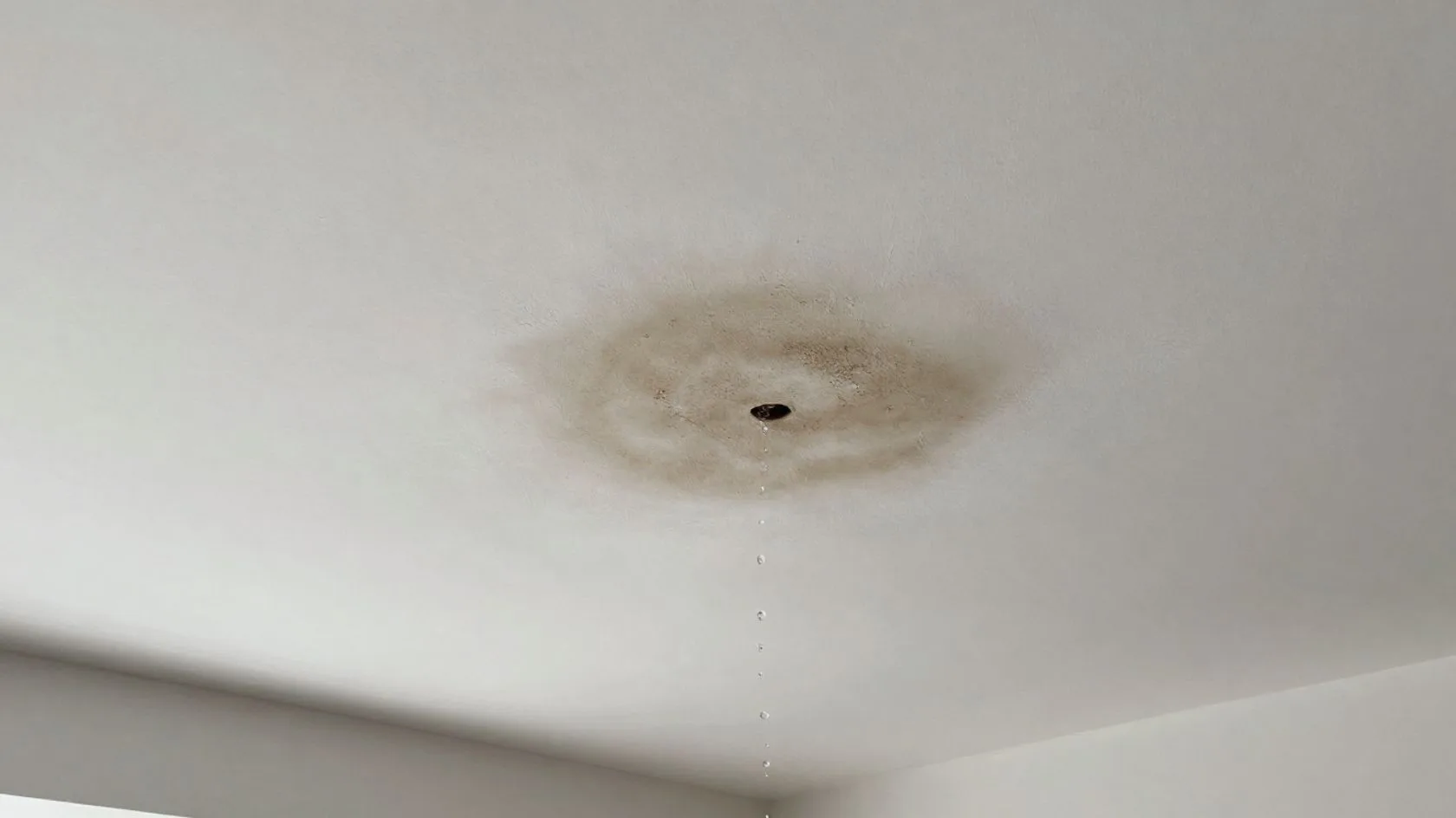 Bumbung Rumah Teres Kerap Bocor Bila Hujan Lebat? Ini 4 Punca Utama & Cara Atasi Sebelum Melarat 3 Bumbung Rumah Teres Kerap Bocor Bila Hujan Lebat? Ini 4 Punca Utama & Cara Atasi Sebelum Melarat