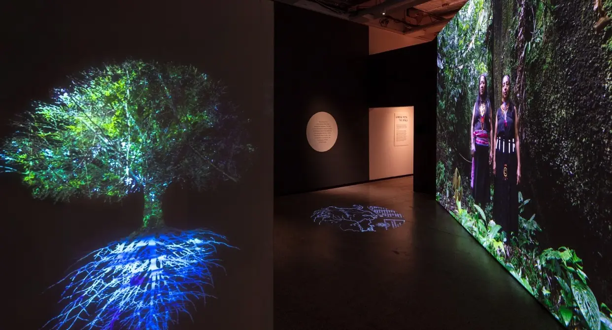 ArtScience Museum Anjur Pameran 'More than Human': Cabar Pengunjung Fikir Semula Hubungan Bersama Alam Semula Jadi 4 ArtScience Museum Anjur Pameran 'More than Human': Cabar Pengunjung Fikir Semula Hubungan Bersama Alam Semula Jadi
