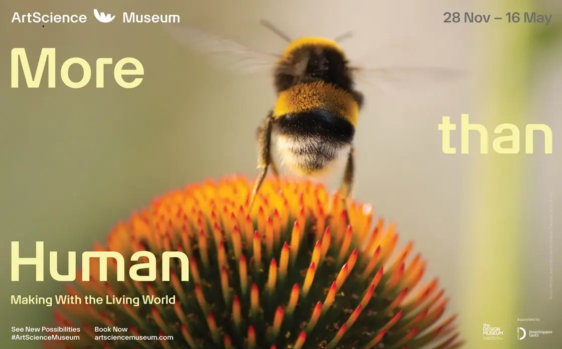 ArtScience Museum Anjur Pameran 'More than Human': Cabar Pengunjung Fikir Semula Hubungan Bersama Alam Semula Jadi 2 ArtScience Museum Anjur Pameran 'More than Human': Cabar Pengunjung Fikir Semula Hubungan Bersama Alam Semula Jadi