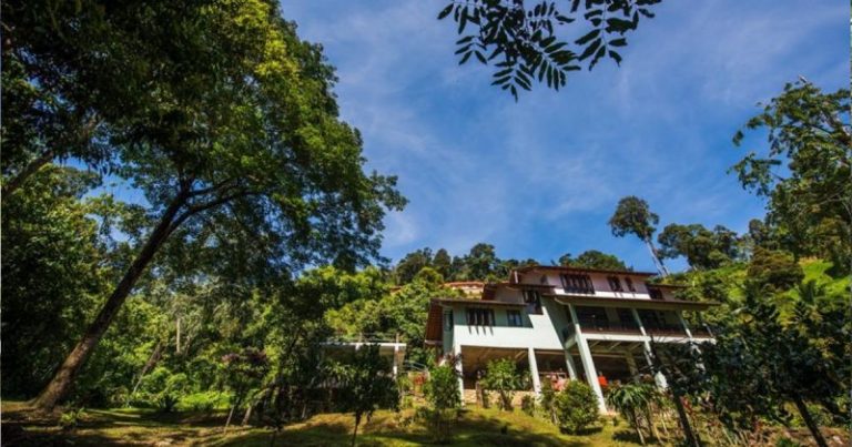 Villa Selesa Dan Mewah Pada Harga Bajet Di Janda Baik