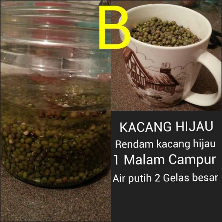 Baja Orkid 2 in 1: Rahsia Guna Beras, Kacang Hijau & Kulit Telur Untuk Orkid Malas Berbunga!