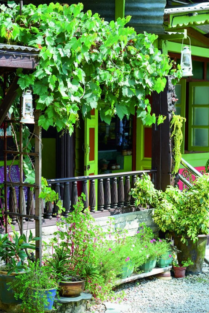 (GAMBAR) Laman Kampung Banyak Guna Pasu Nampak Lebih Kemas ...