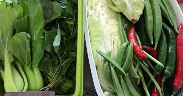 Wanita Ini Dedah Rahsia Sayur Kekal segar Dalam Masa 3 Minggu. Memang Berjaya!